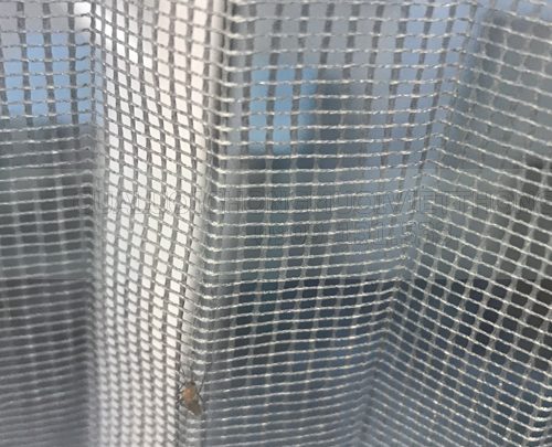 cửa lưới chống muỗi đồng nai