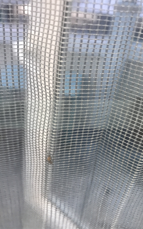 cửa lưới chống muỗi đồng nai