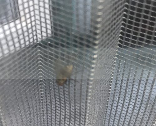 cửa lưới chống muỗi long an